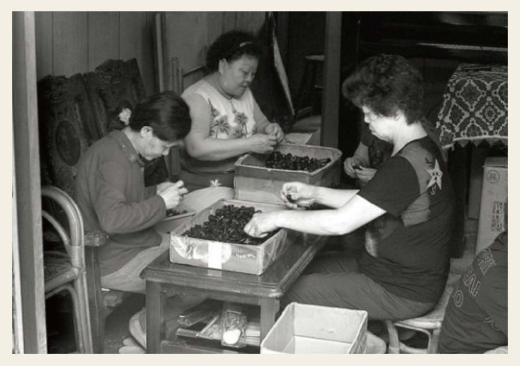 跟著故事繪本.漫遊斗六舊城-6