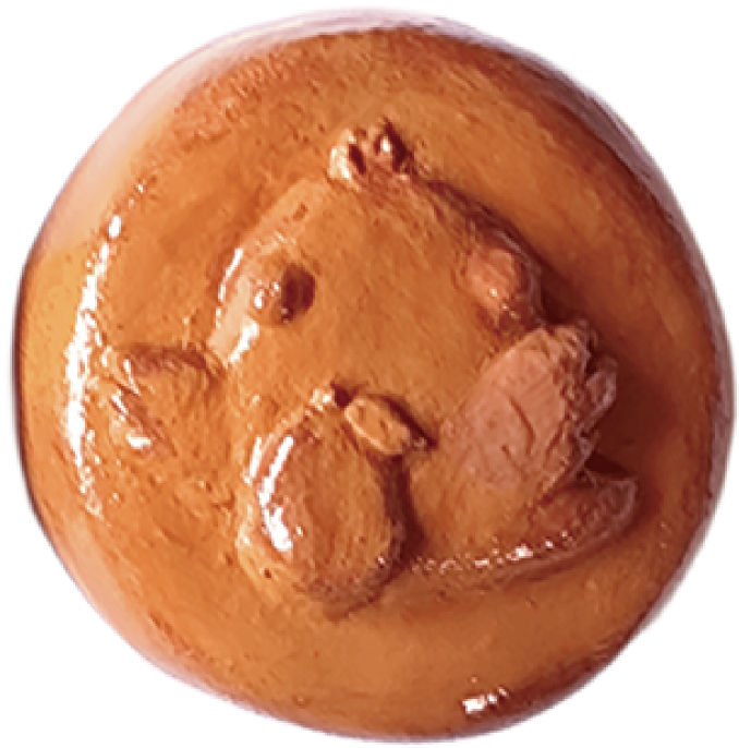 yoyo柚