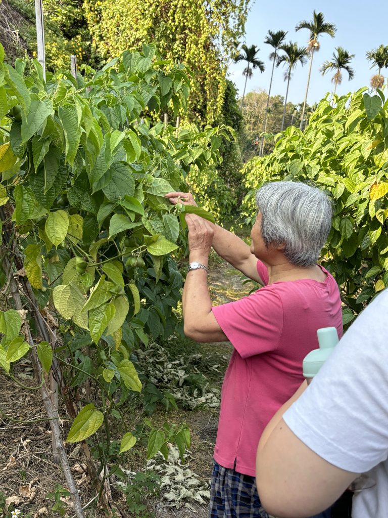 樟湖高齡者生活不便、心理健康-圖2