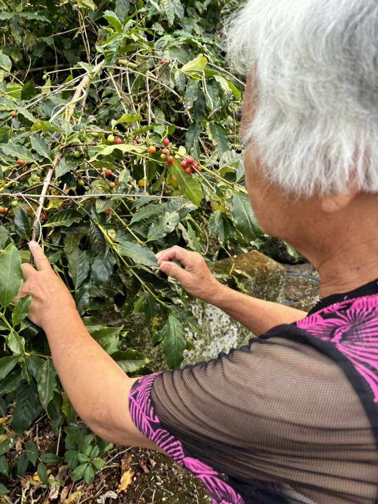 樟湖高齡者生活不便、心理健康-圖3